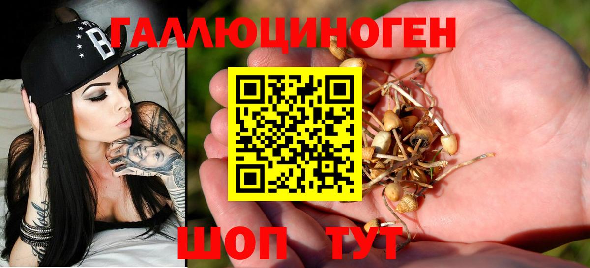 Киселёвск  Псилоцибиновые грибы Cubensis  Галлюциногенные грибы мухоморы  Вход с VPN 