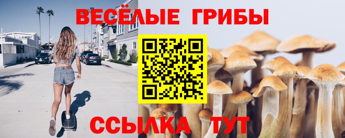 Псилоцибиновые грибы Cubensis Киселёвск