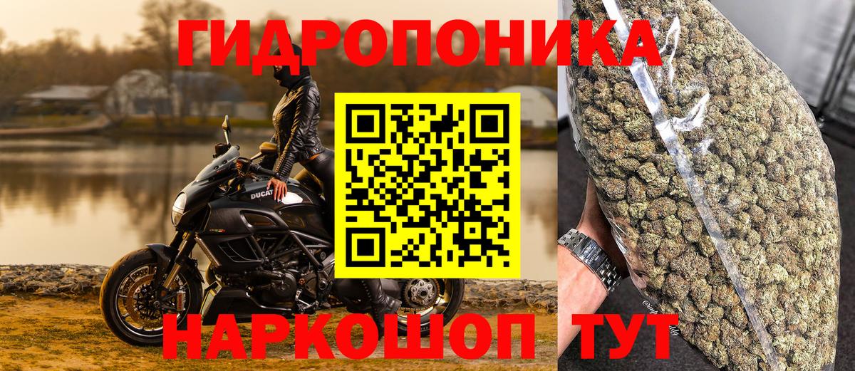 Конопля Bruce Banner Киселёвск